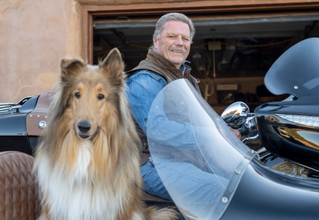 Adult and dog riding bike